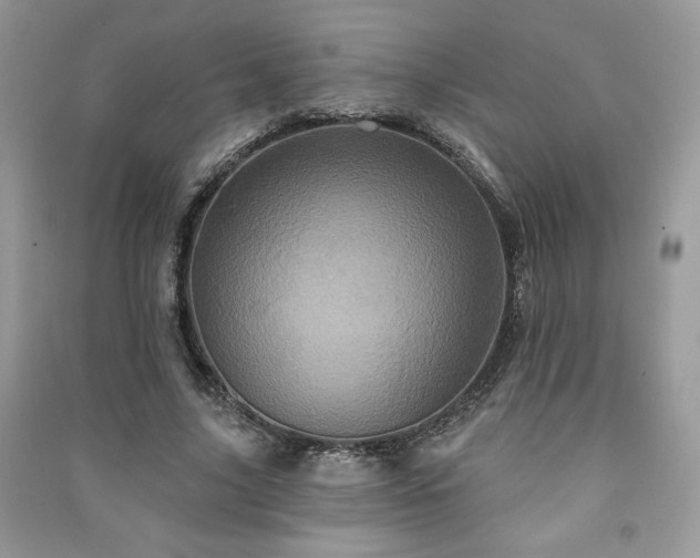 X0000091210635200708091348