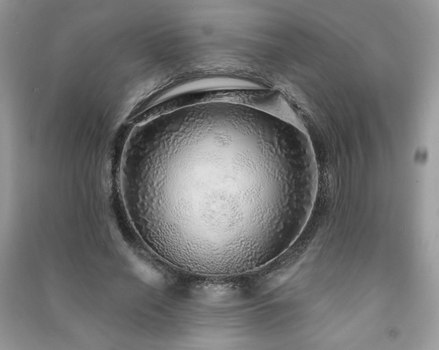 X0000091210638200708091348