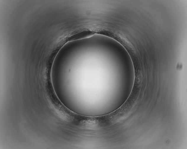 X0000091210639200708091348
