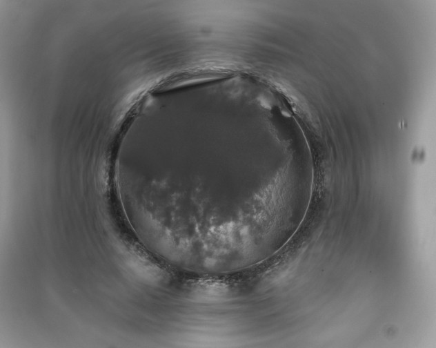 X0000091210640200708091348