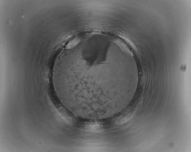 X0000091210643200708091348