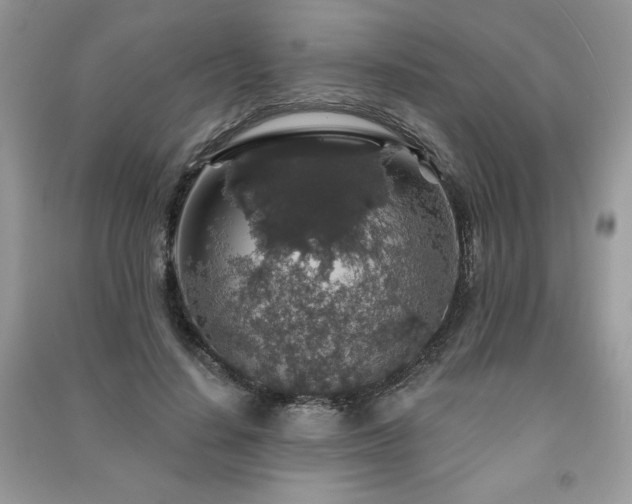 X0000091210644200708091348