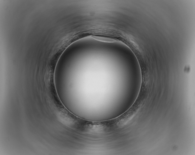 X0000091210645200708091348