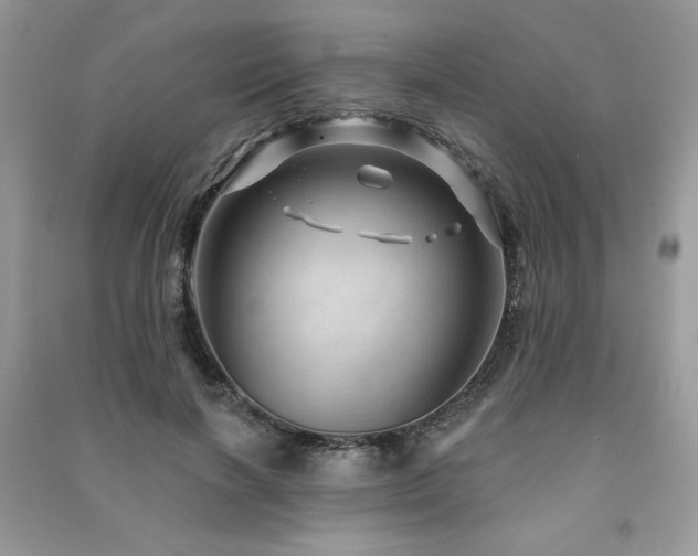 X0000091210646200708091348