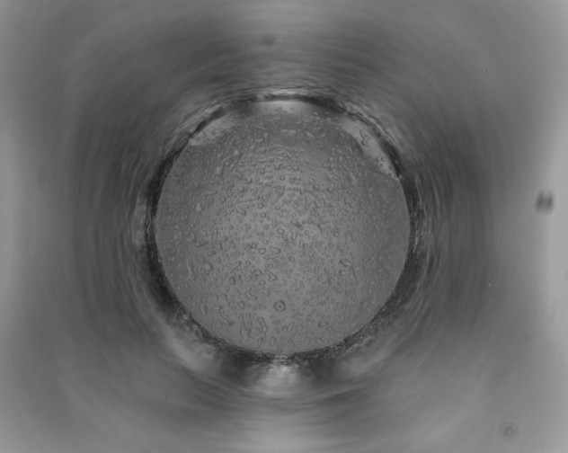 X0000091210647200708091348