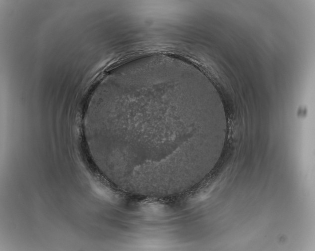 X0000091210648200708091348