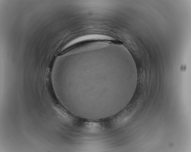 X0000091210649200708091348