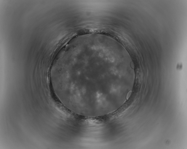 X0000091210650200708091348