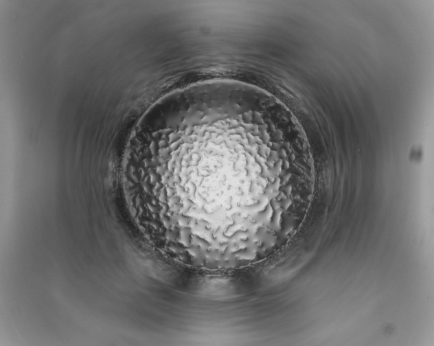 X0000091210651200708091348