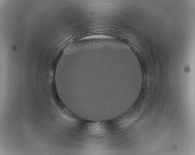 X0000091210652200708091348