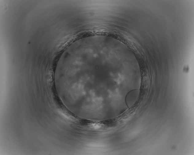 X0000091210654200708091348
