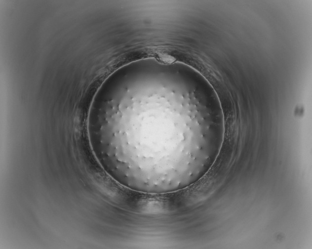 X0000091210655200708091348