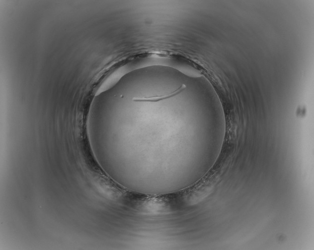 X0000091210656200708091348