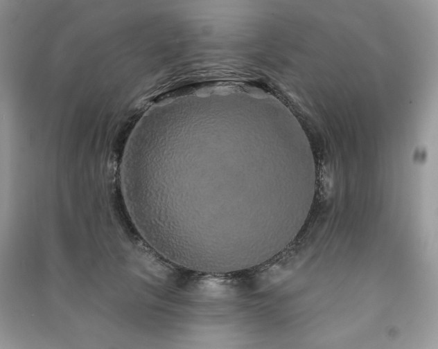 X0000091210657200708091348
