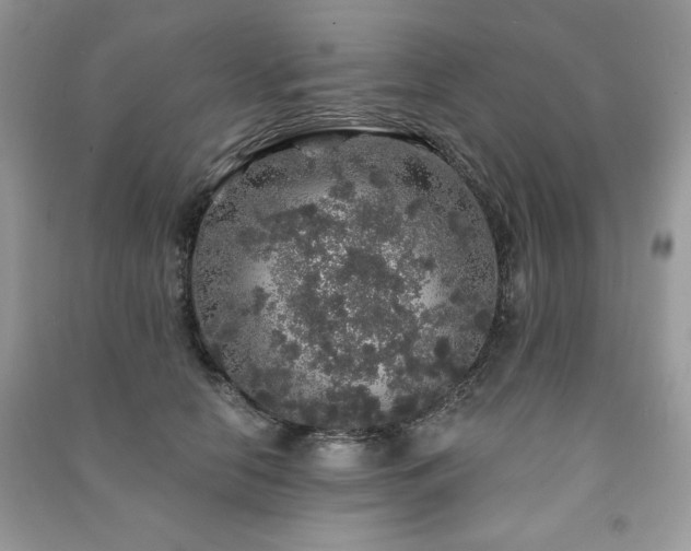 X0000091210658200708091348