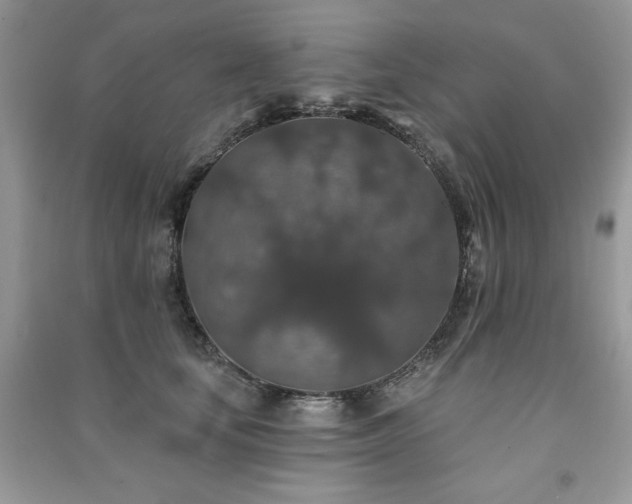 X0000091210659200708091348
