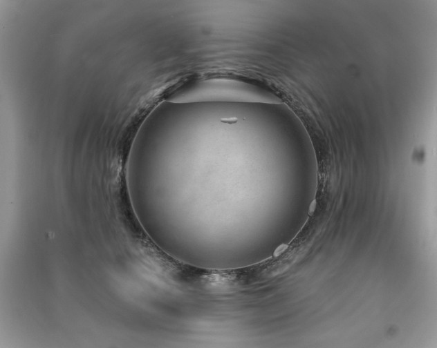 X0000091210660200708091348
