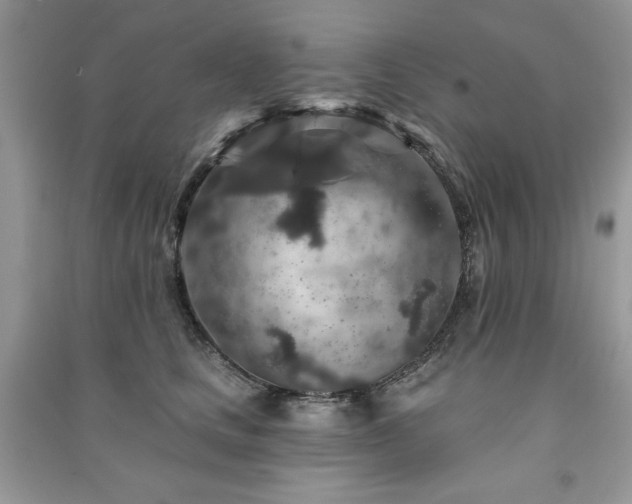 X0000091210661200708091348