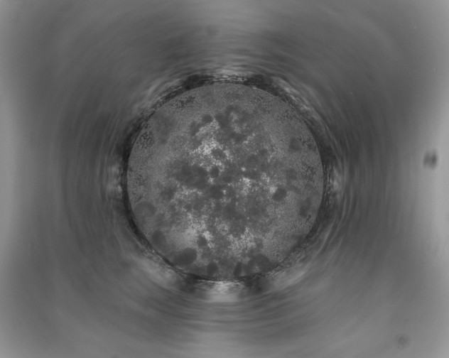 X0000091210663200708091348
