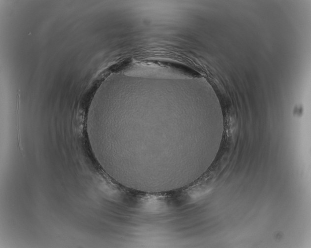X0000091210664200708091348