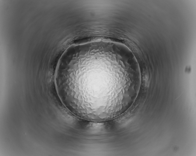 X0000091210665200708091348