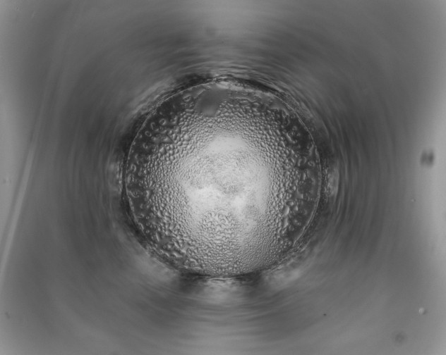 X0000091210666200708091348
