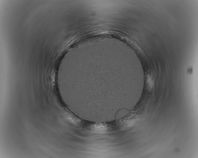 X0000091210668200708091348