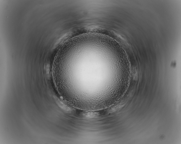 X0000091210670200708091348