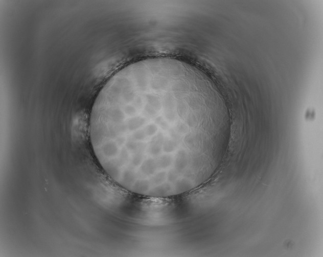 X0000091210672200708091348