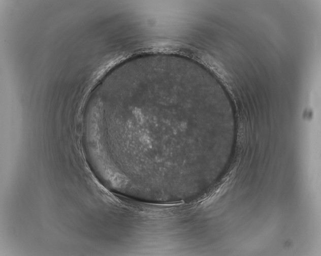 X0000091210673200708091348