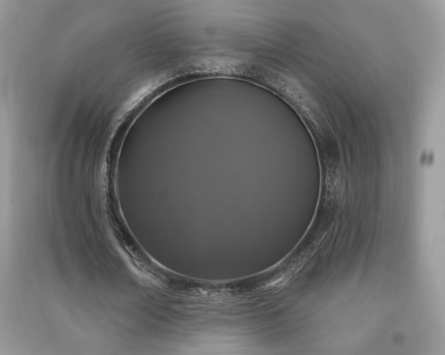 X0000091210674200708091348