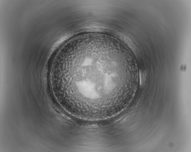 X0000091210675200708091348