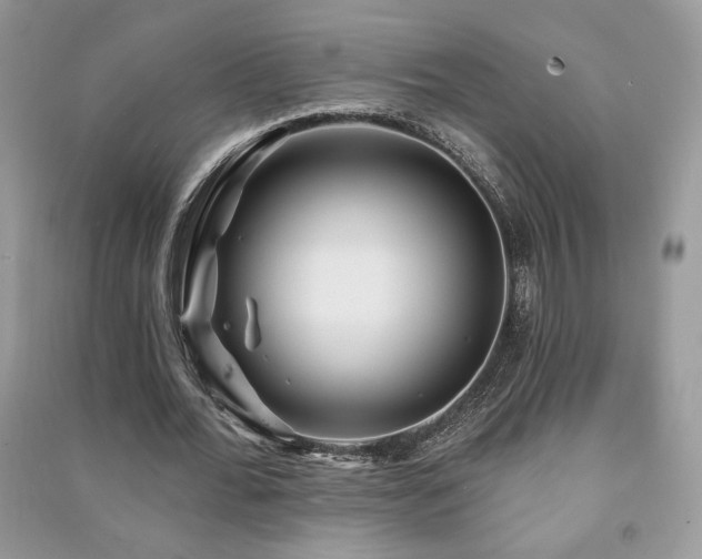 X0000091210676200708091348