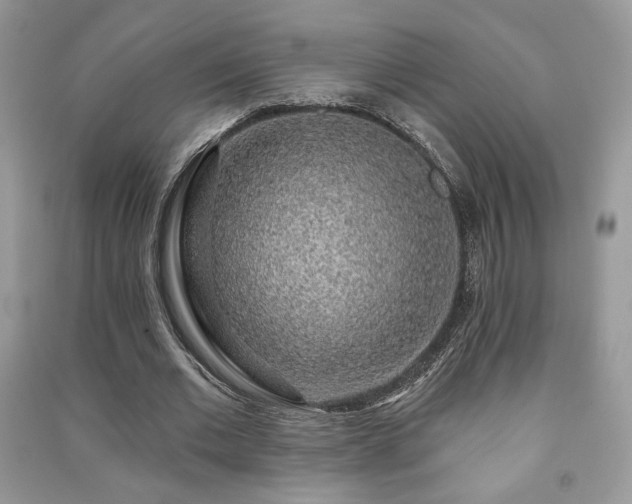 X0000091210677200708091348