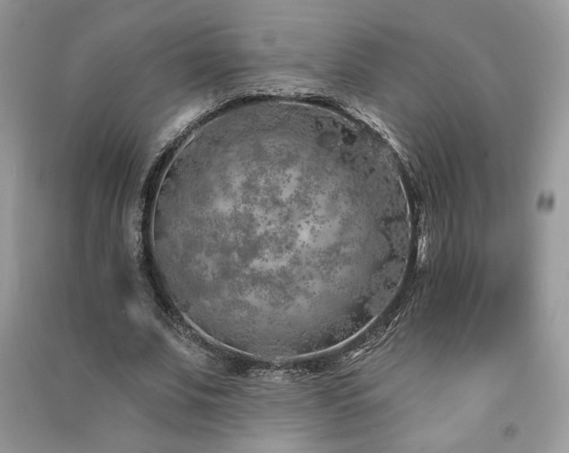 X0000091210679200708091348