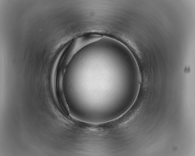 X0000091210681200708091348