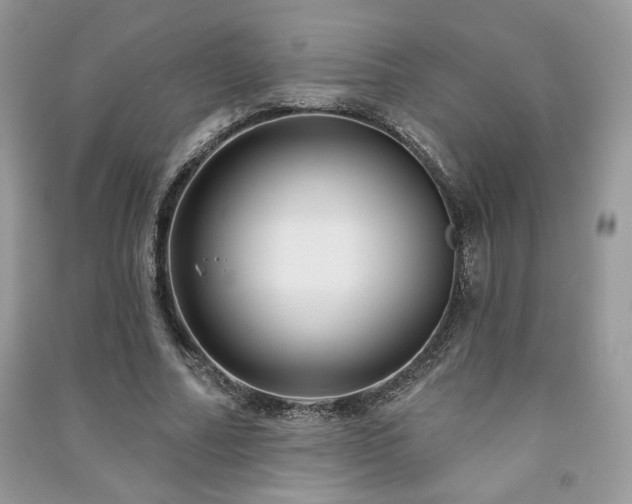 X0000091210682200708091348