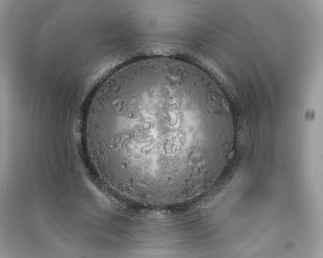X0000091210683200708091348