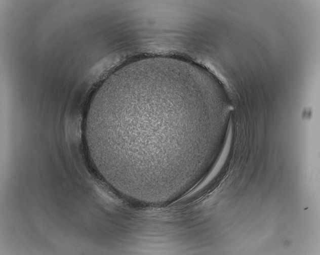 X0000091210685200708091347