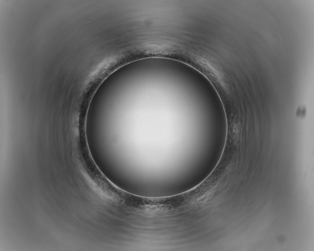 X0000091210686200708091347