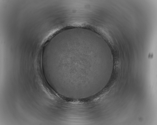 X0000091210688200708091347