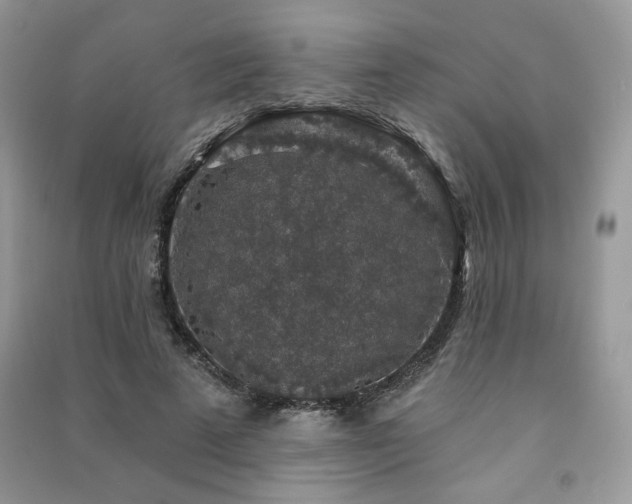 X0000091210689200708091347