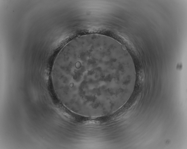 X0000091210691200708091347
