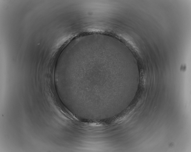 X0000091210692200708091347