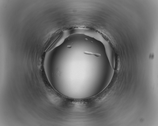 X0000091210693200708091347
