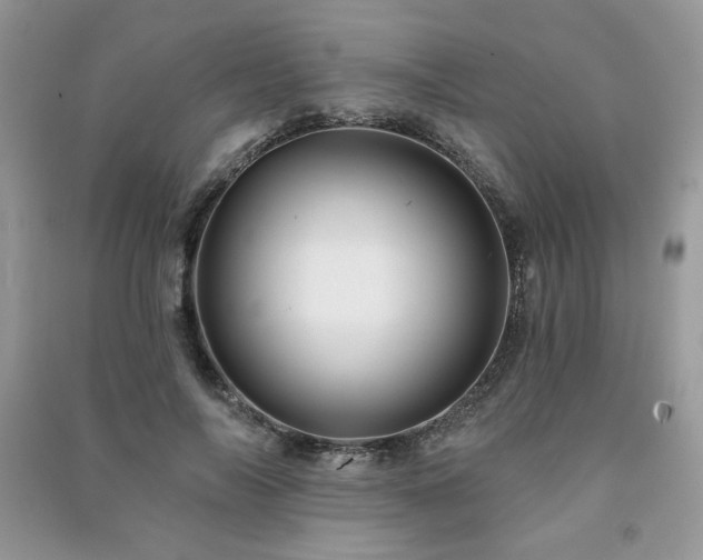 X0000091210694200708091347
