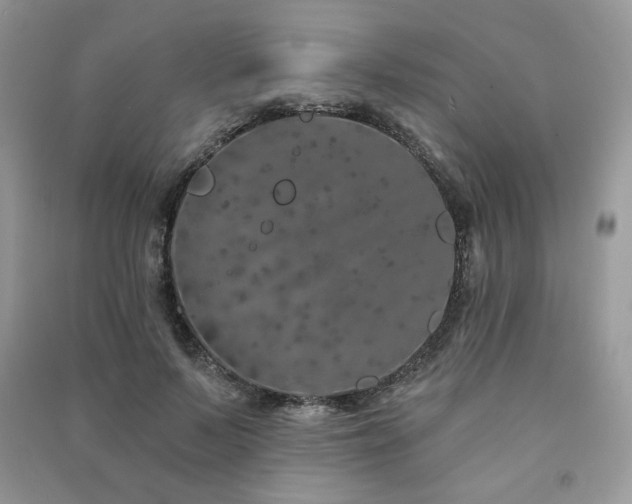 X0000091210695200708091347