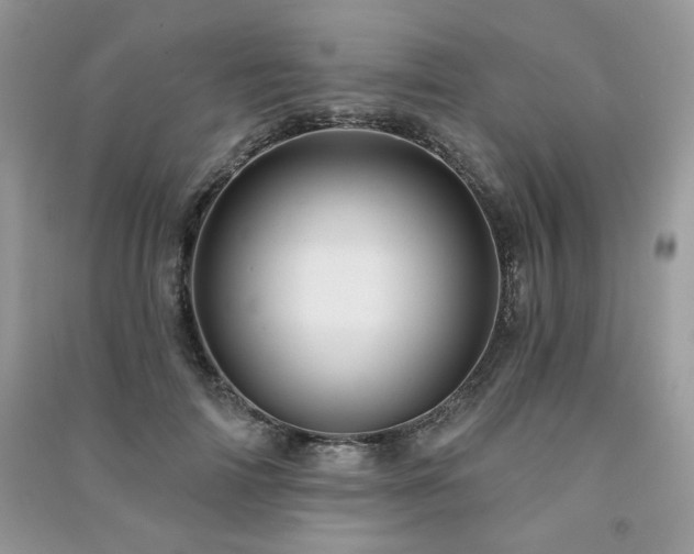 X0000091210698200708091347