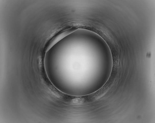 X0000091210700200708091347