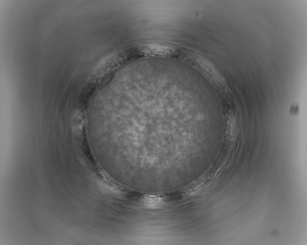 X0000091210701200708091347